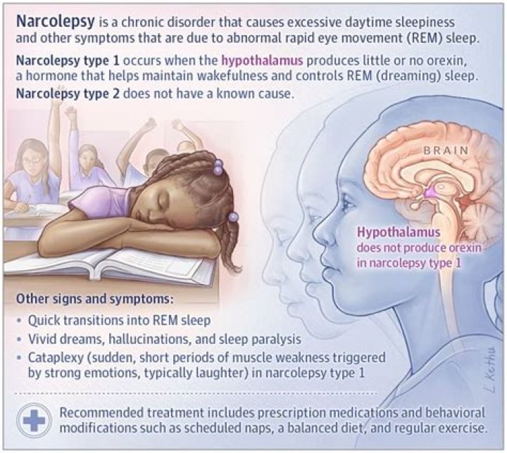 How tall is narcoleptic nugget?
