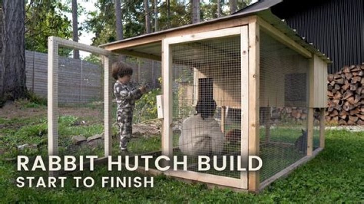 How to dog proof a rabbit hutch?