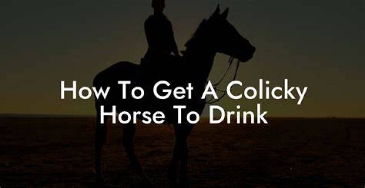 How to get a colicky horse to drink?