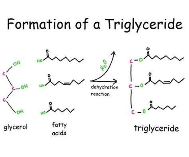How to make caprylic/capric triglyceride?