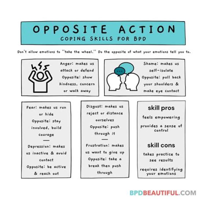 How to respond to bpd provocations?