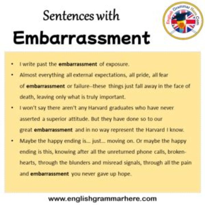 How to use embarrassment in a sentence?