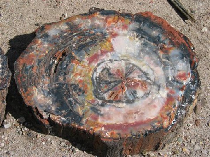 In a state of petrification?