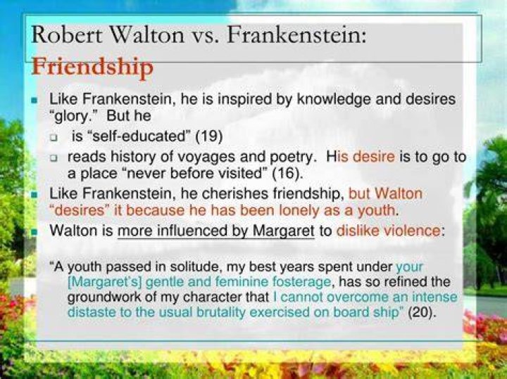 In frankenstein who is robert walton?