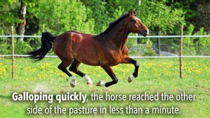 In full gallop meaning?