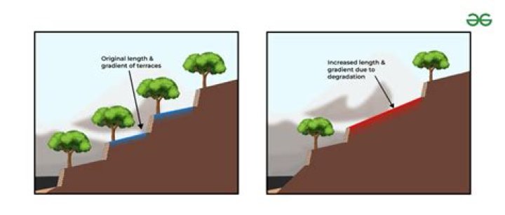 In hilly areas erosion is minimised by?