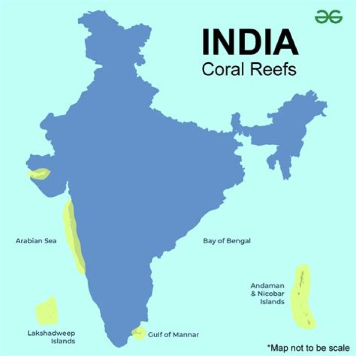 In india coral reefs are found in?
