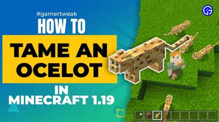 In minecraft can you tame an ocelot?