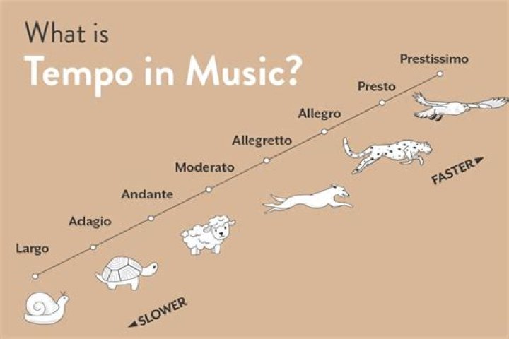 In music what does maestoso mean?