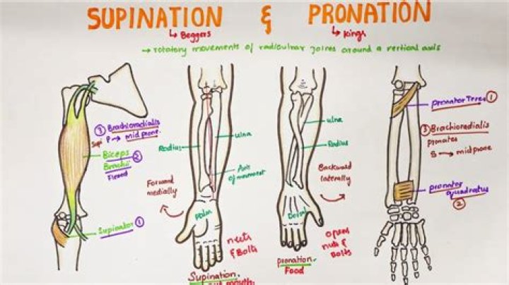 In supination or pronation?