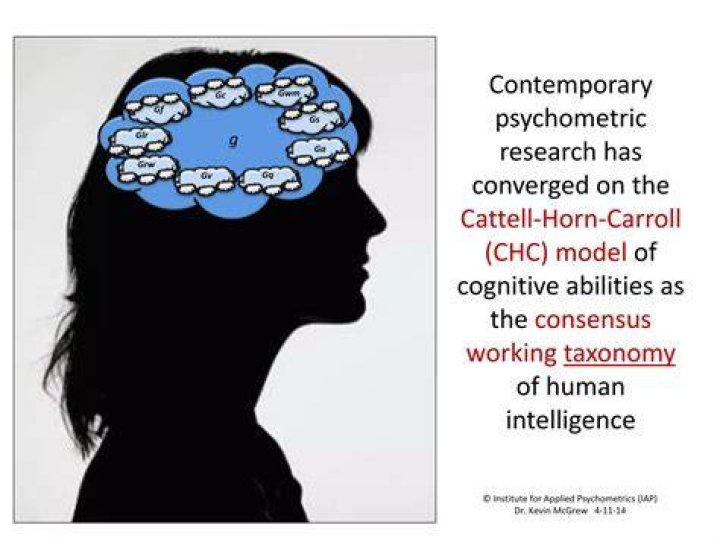 In the cattell-horn-carroll (chc) theory of intelligence intelligence is?