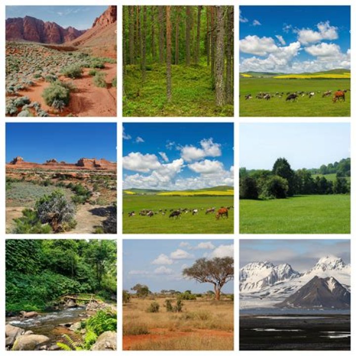 In the mountain biomes?