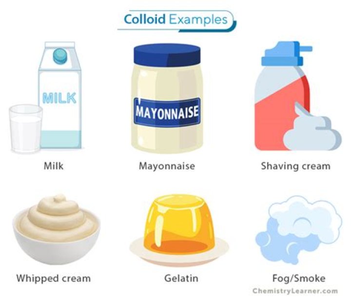 In what category of colloids does marshmallow belongs?