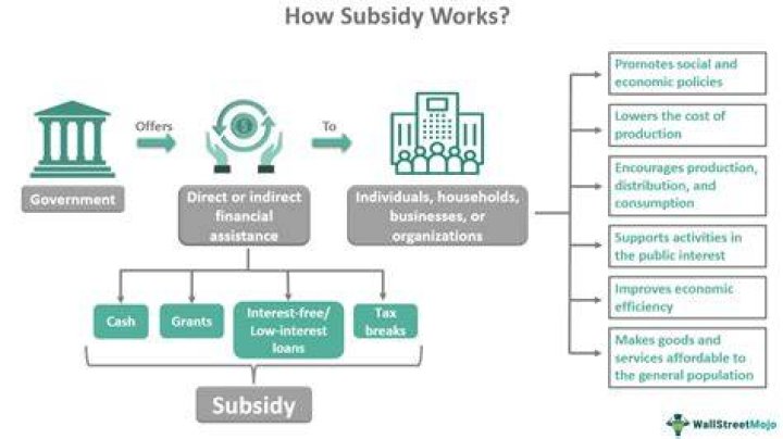 In what ways are government subsidies protectionist?