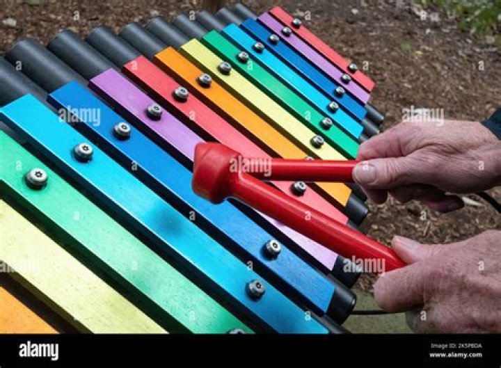In which family does the glockenspiel belong to?