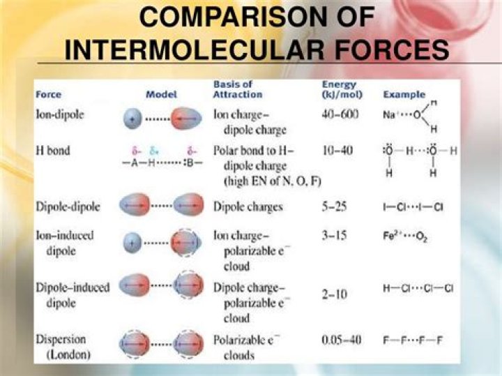Intermolecular forces in 2-butanone?
