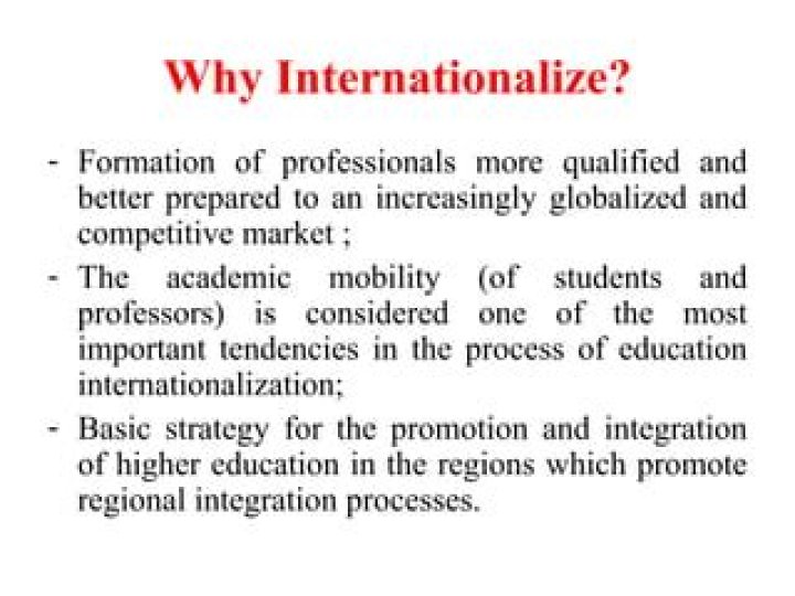 Internationalize in higher education?