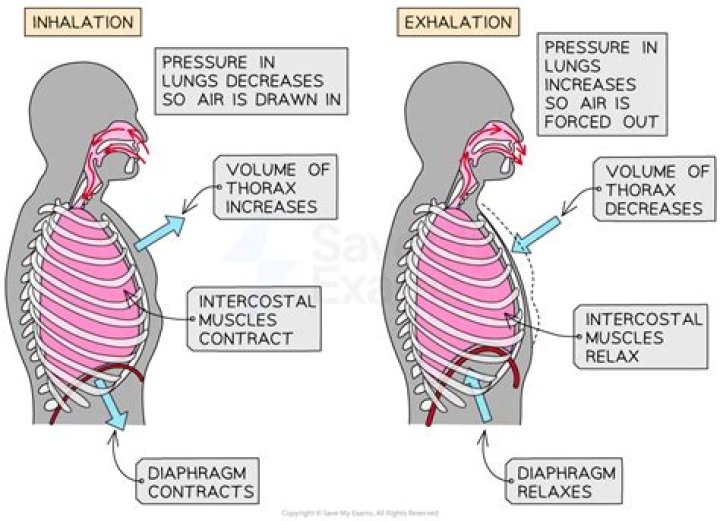 Is air for breathing a commons?