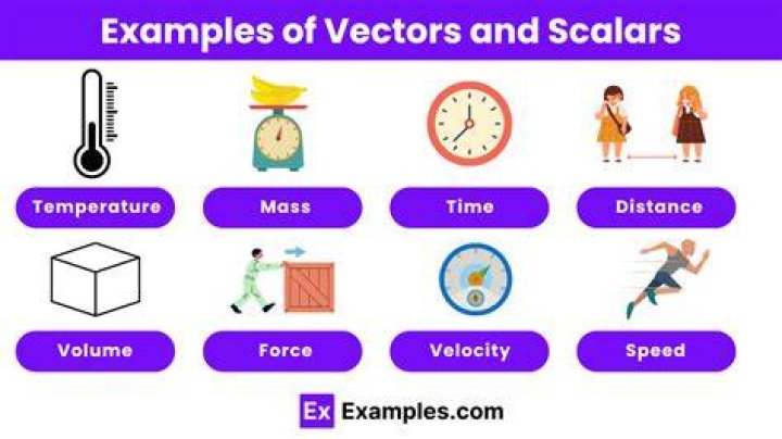 Is area scalar or vector?
