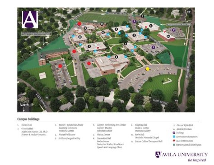 Is avila university d1?