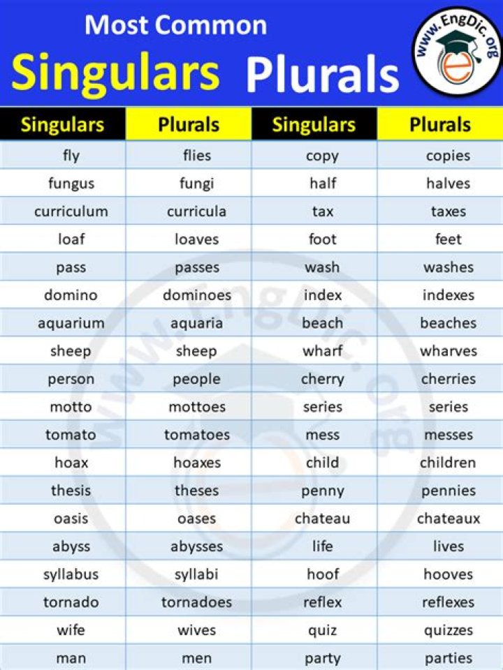 Is cheese singular or plural?