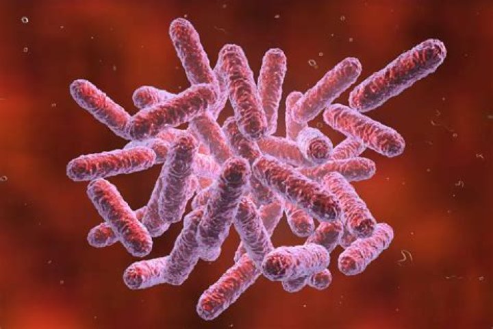 Is enterobacter cloacae a coliform?