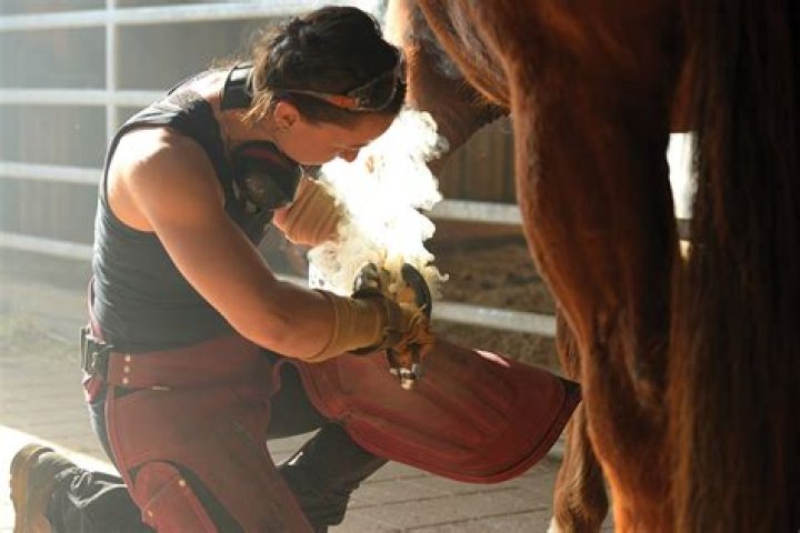 Is farrier a good career?