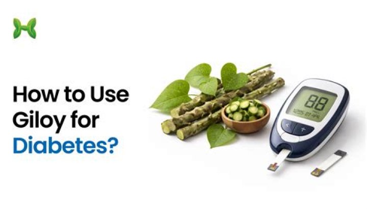 Is giloy good for diabetes?