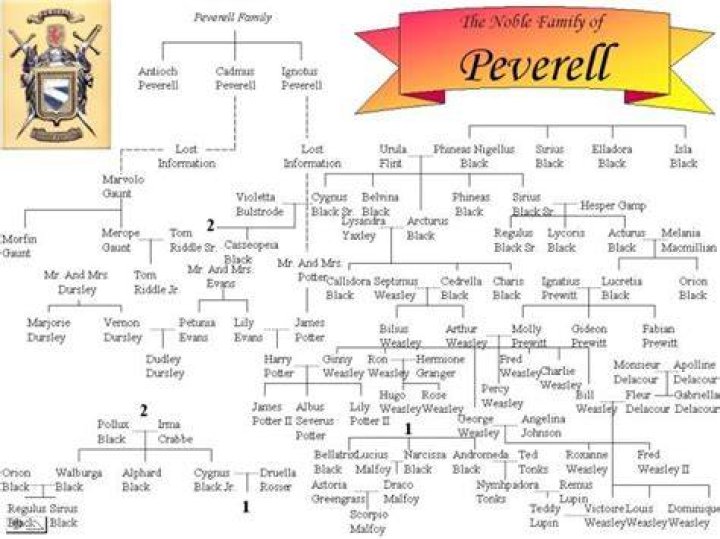Is harry related to ignotus peverell?