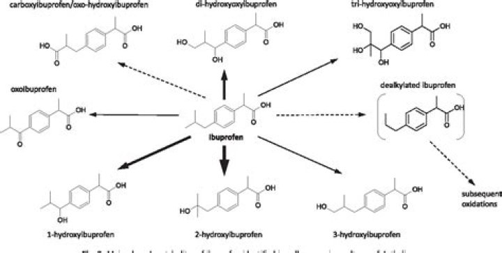Is ibuprofen metabolized in the liver?