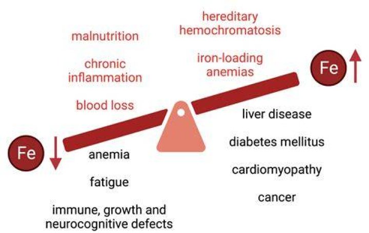 Is iron hard on the stomach?