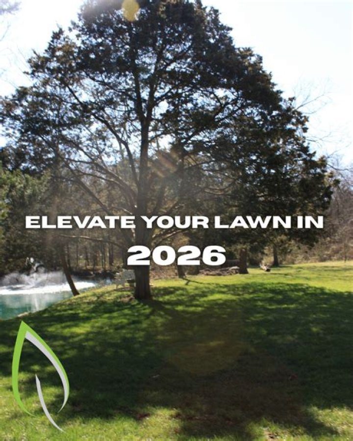 Is lawn a real word?
