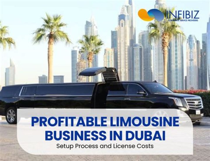 Is limousine business profitable?