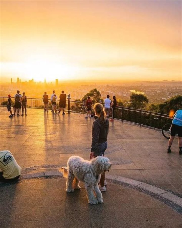 Is mt coot tha dog friendly?