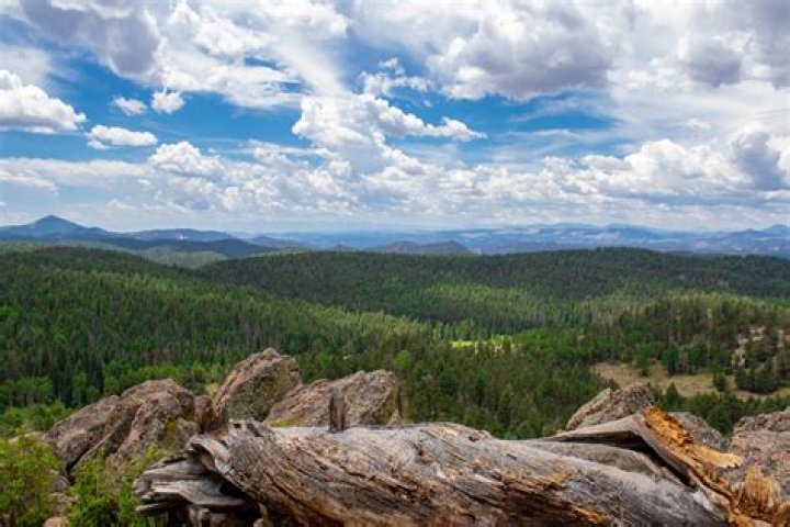 Is mueller state park open?