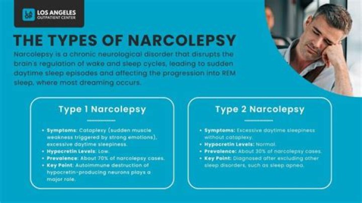 Is narcoleptic a noun?