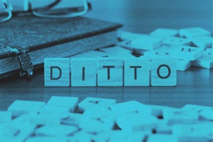Is non participation a real word?