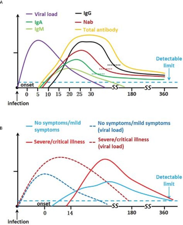 Is severity of covid based on viral load?