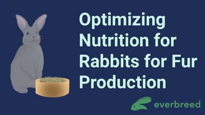 Is spinetoram safe for rabbits?