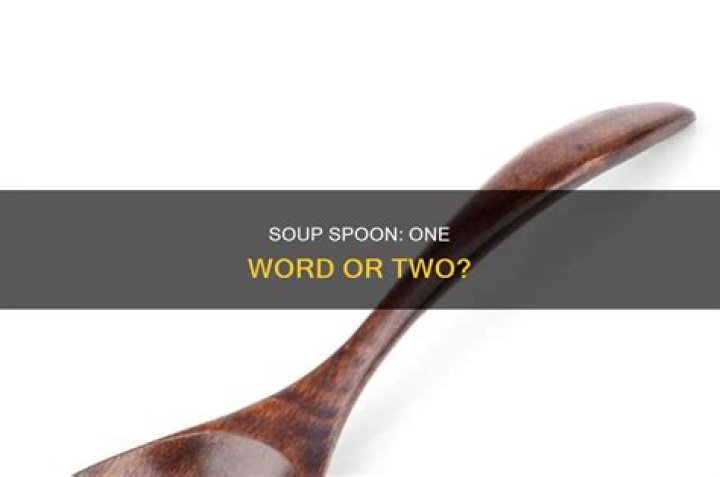 Is spoon fed one word?