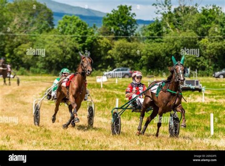 Is sulky racing illegal in ireland?