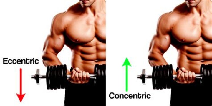 Is supination concentric or eccentric?