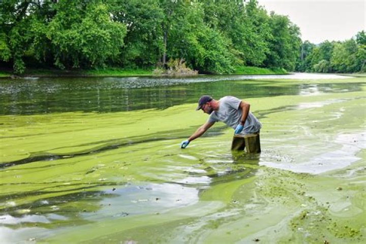 Is the wallkill river polluted?