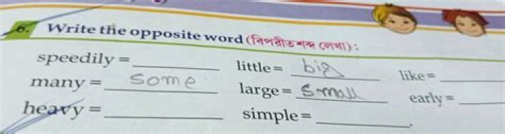 Is the word speedily correct?