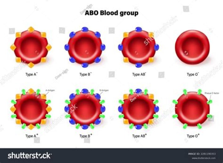 Is there a b blood group?