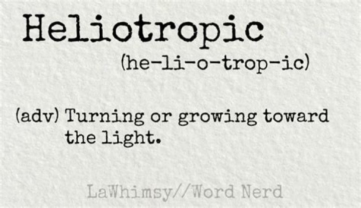 Is there a word heliotropic?
