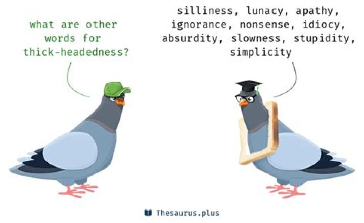 Is thick headedness a word?