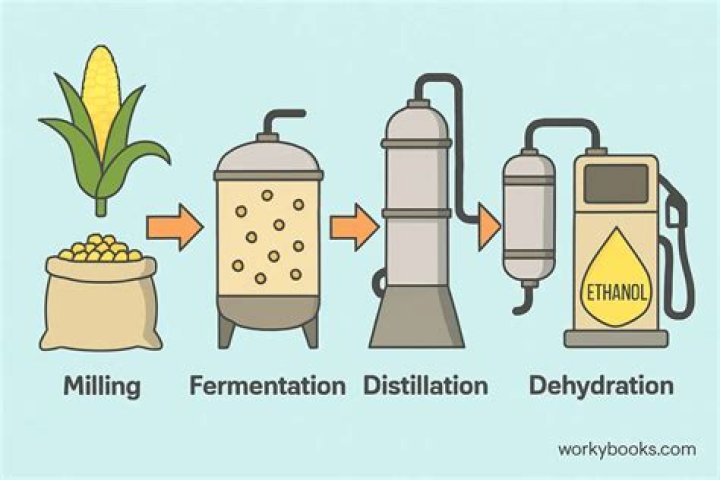 Is to make ethanol?