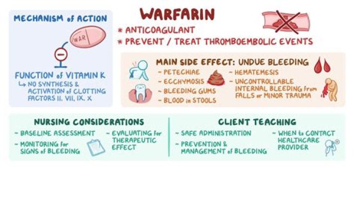 Is warfarin the best anticoagulant?