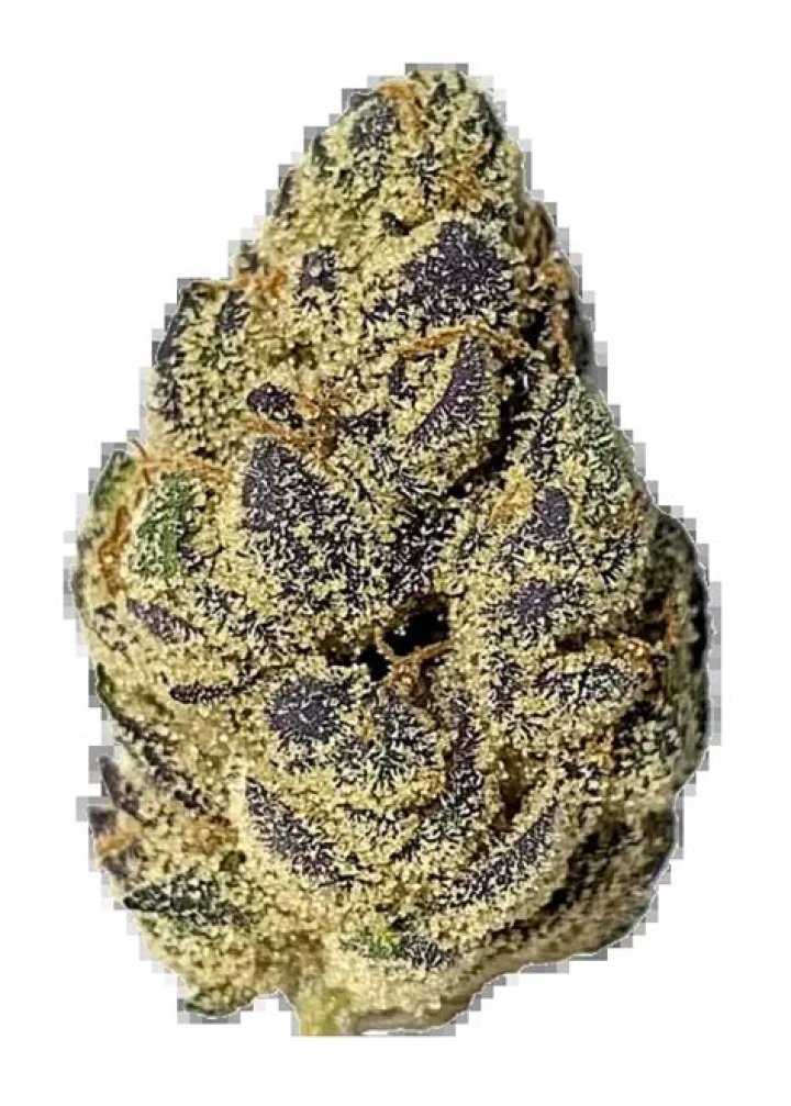 Is zaza a strain of weed?